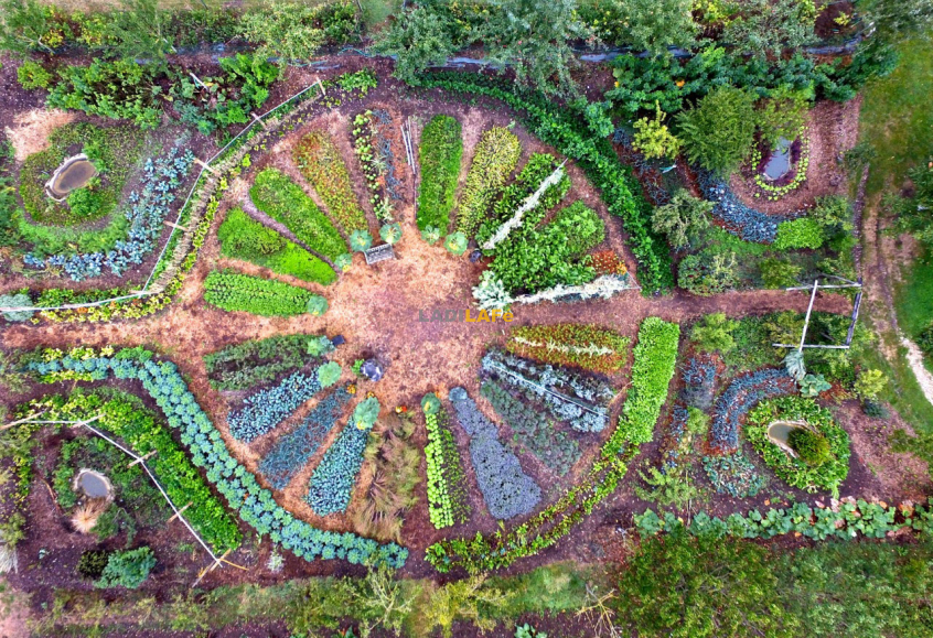Découvrez la permaculture