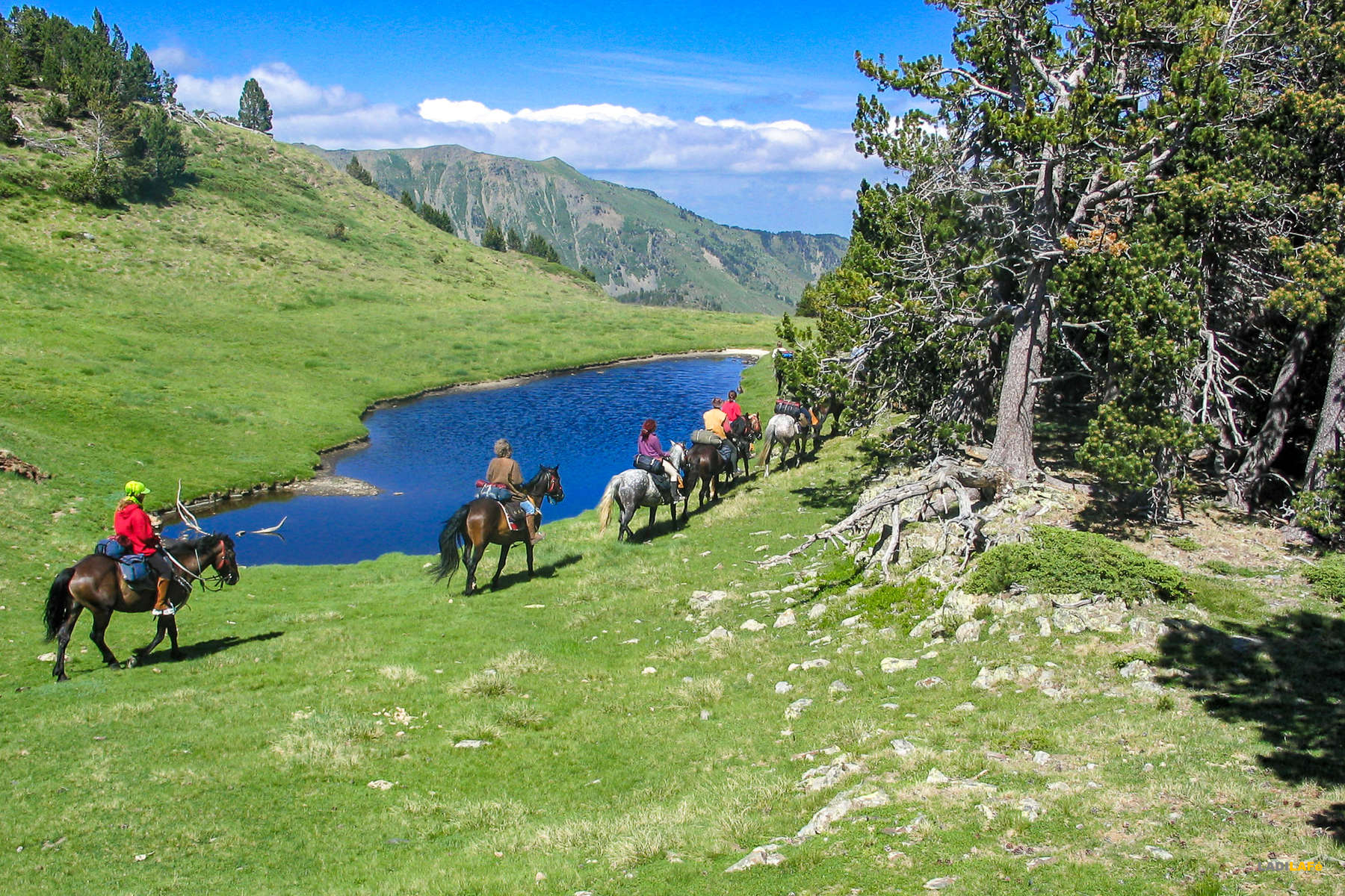 Découvrez les Pyrénées à cheval