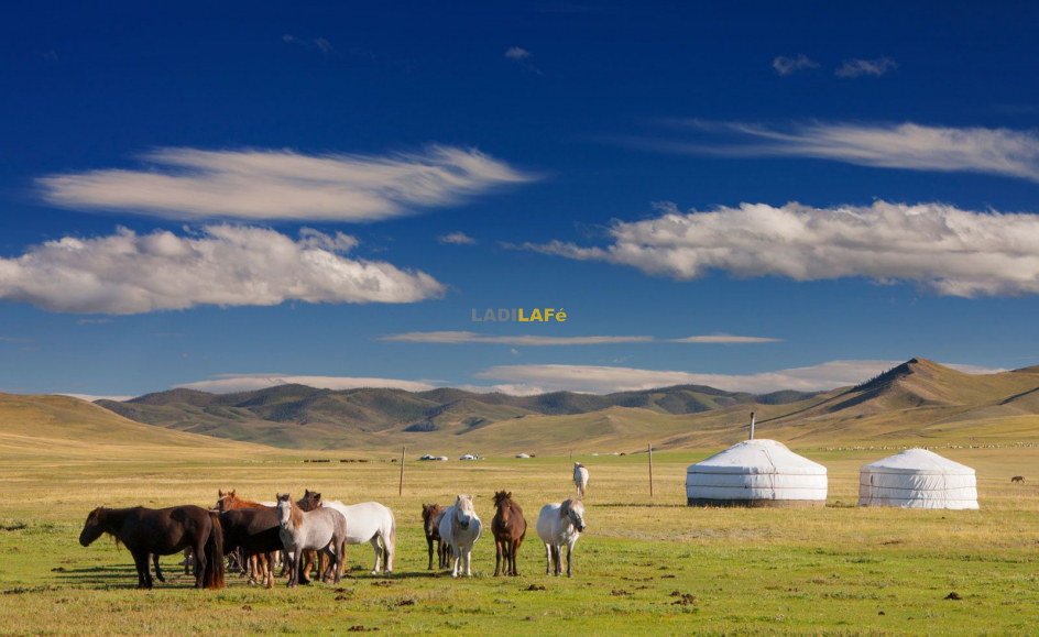 Découvrez la Mongolie à cheval