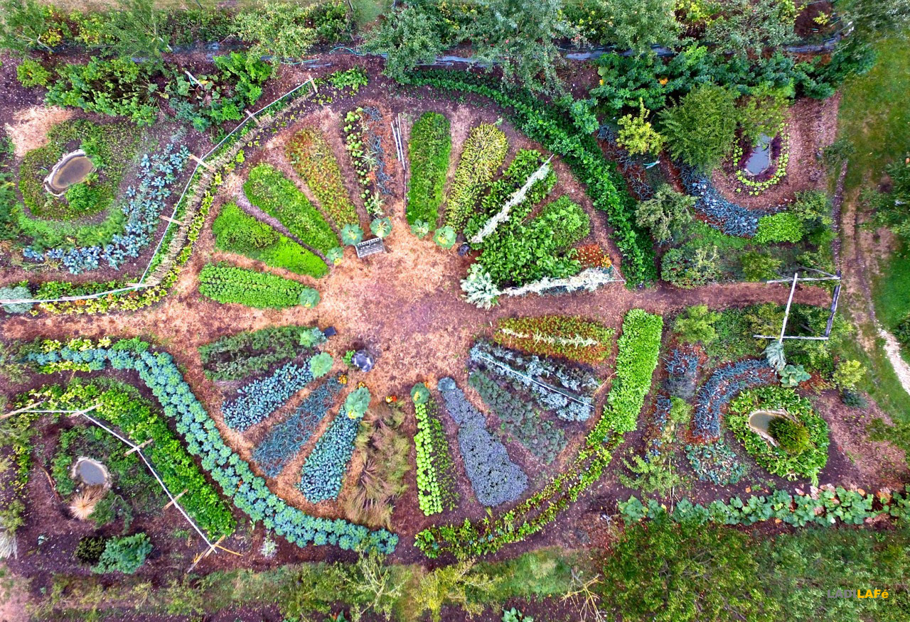 Découvrez la permaculture